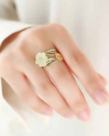 Anillo