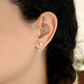 Aretes