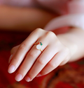 Anillo
