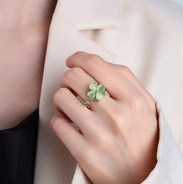 Anillo Giratorio