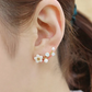 Aretes