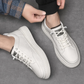 Zapatos / Colores disponibles