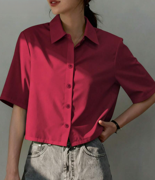 Blusa