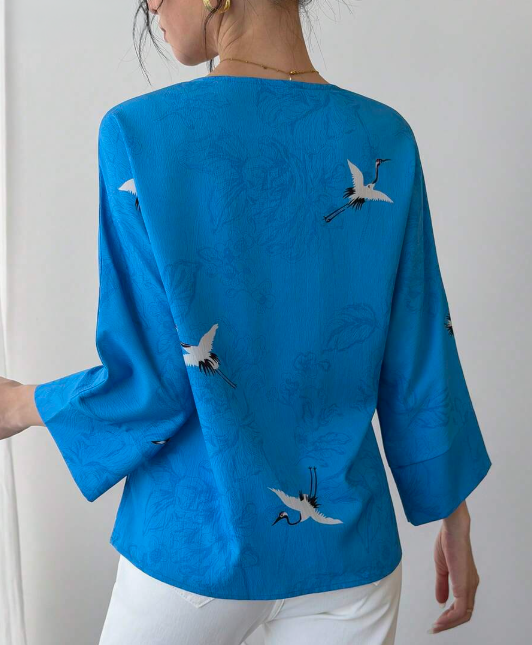 Blusa